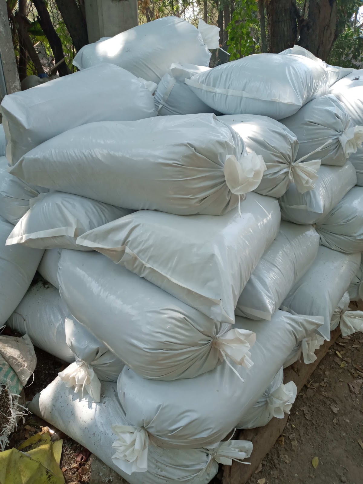 leetx-google-photo-86096-1