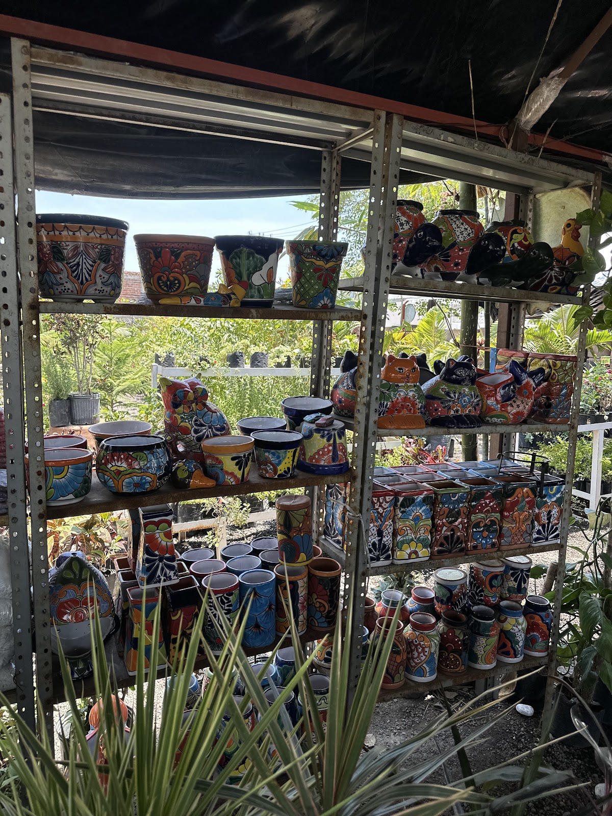 leetx-google-photo-86106-1