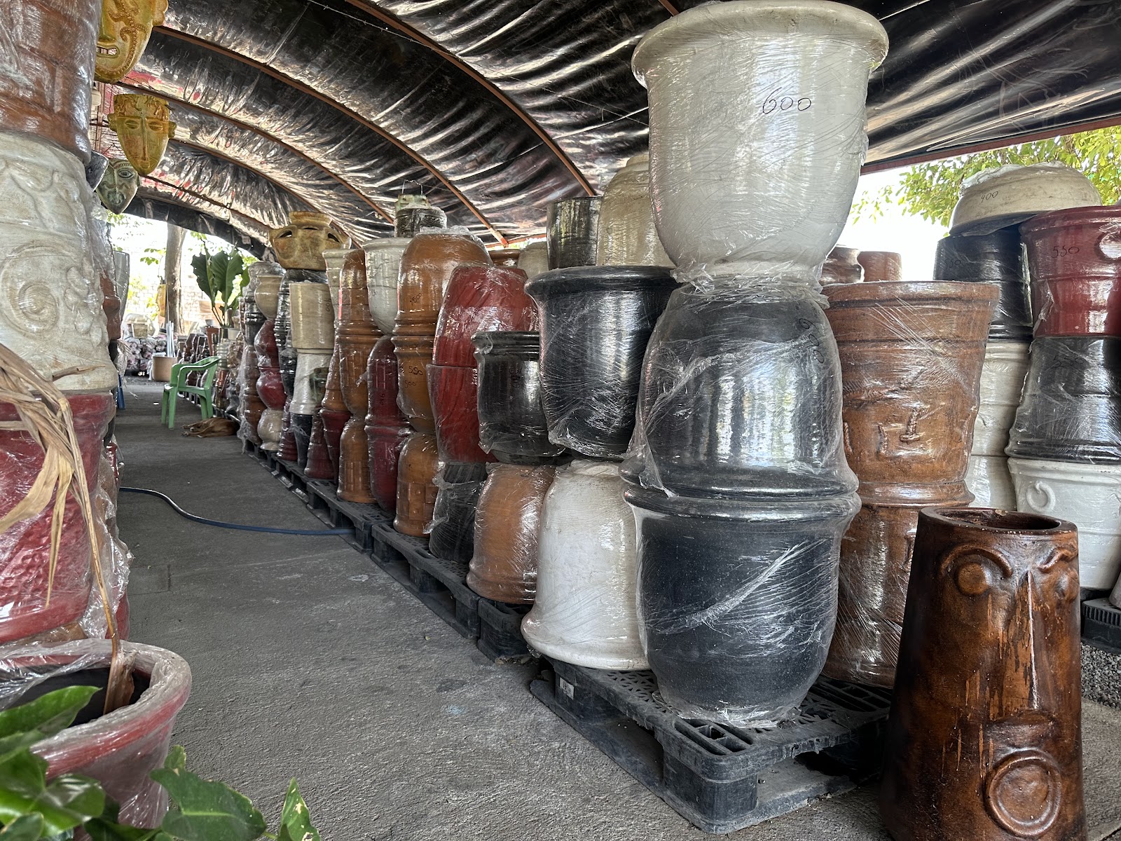 leetx-google-photo-86106-2 leetx-google-photo-86106-2