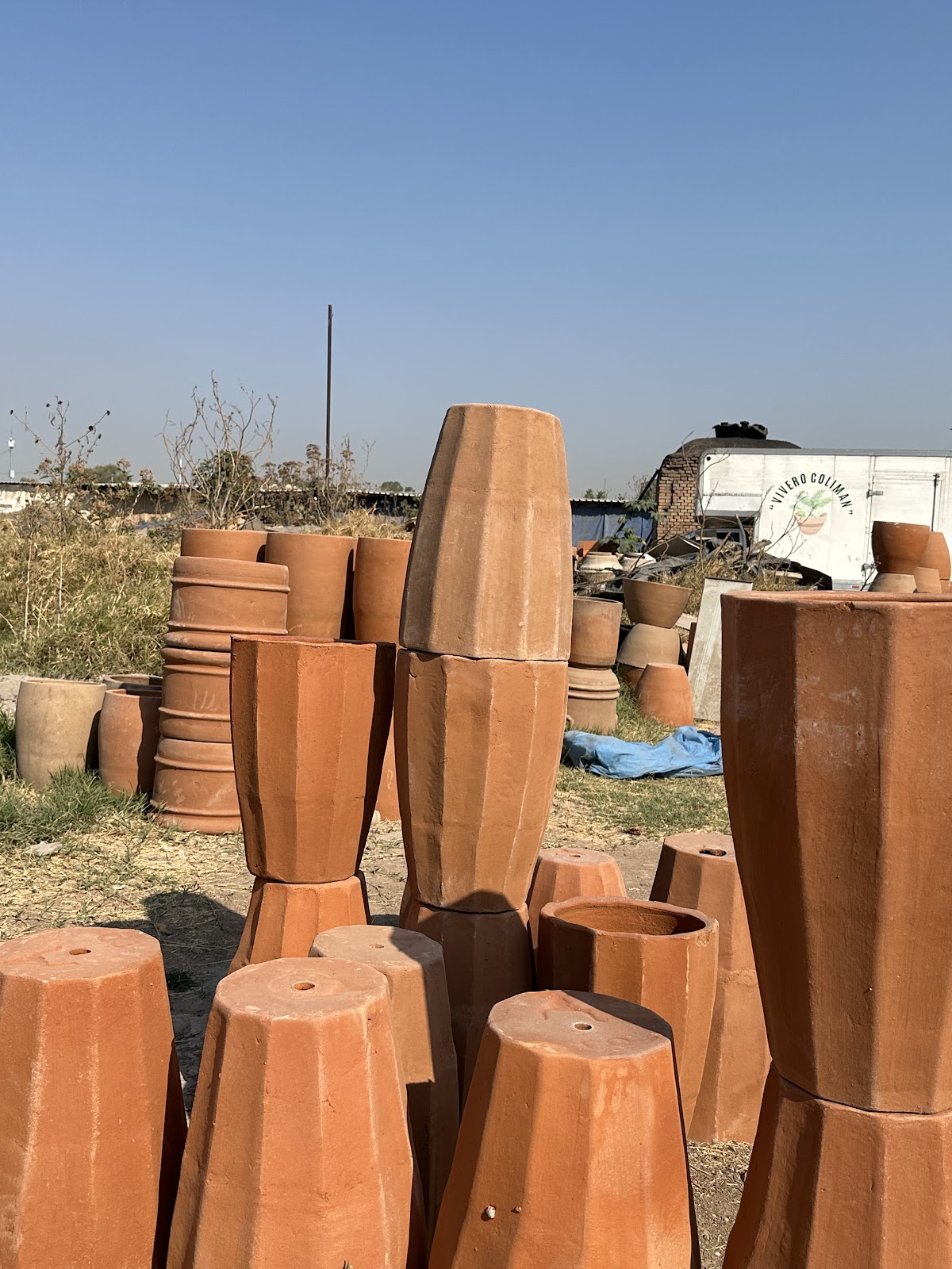 leetx-google-photo-86106-7 leetx-google-photo-86106-7