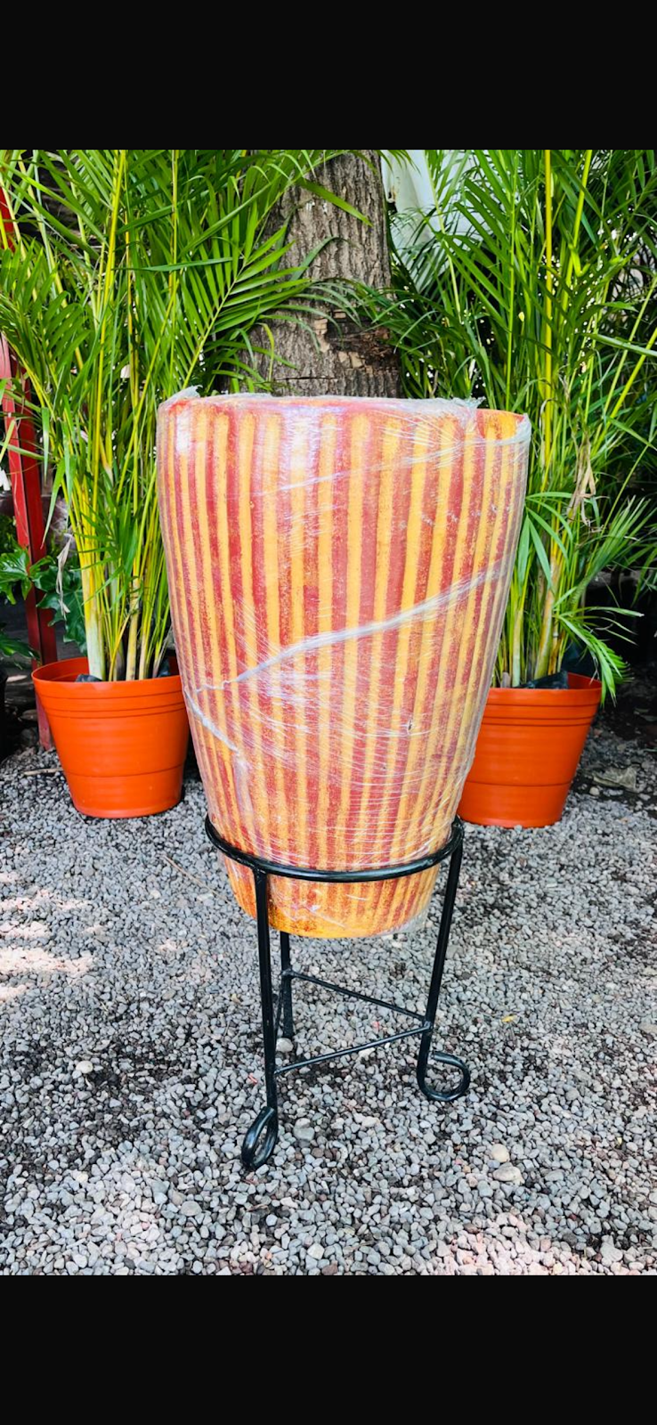 leetx-google-photo-86106-8 leetx-google-photo-86106-8