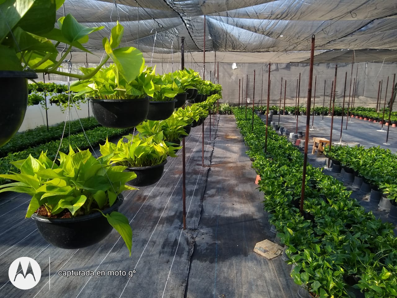 leetx-google-photo-86118-1