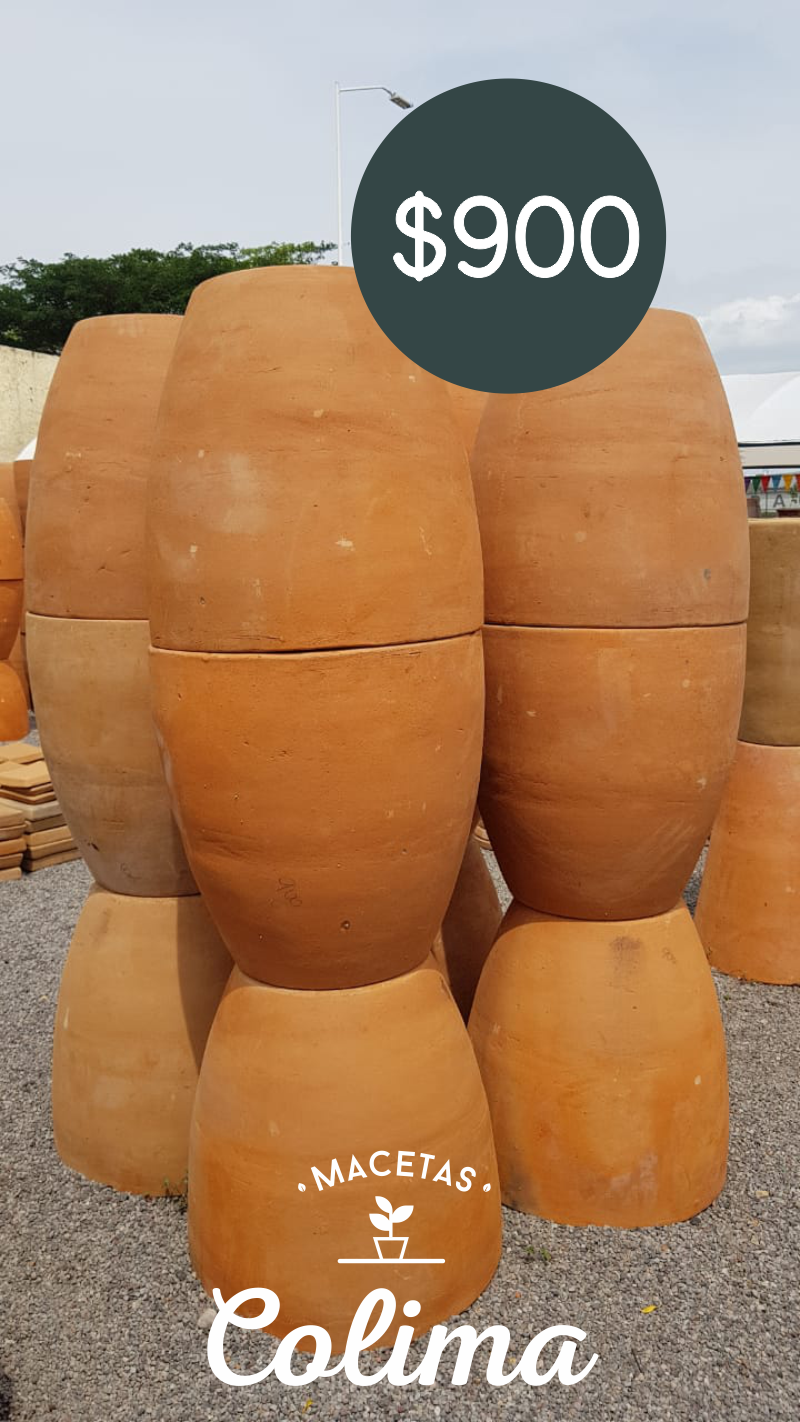 leetx-google-photo-86128-2 leetx-google-photo-86128-2