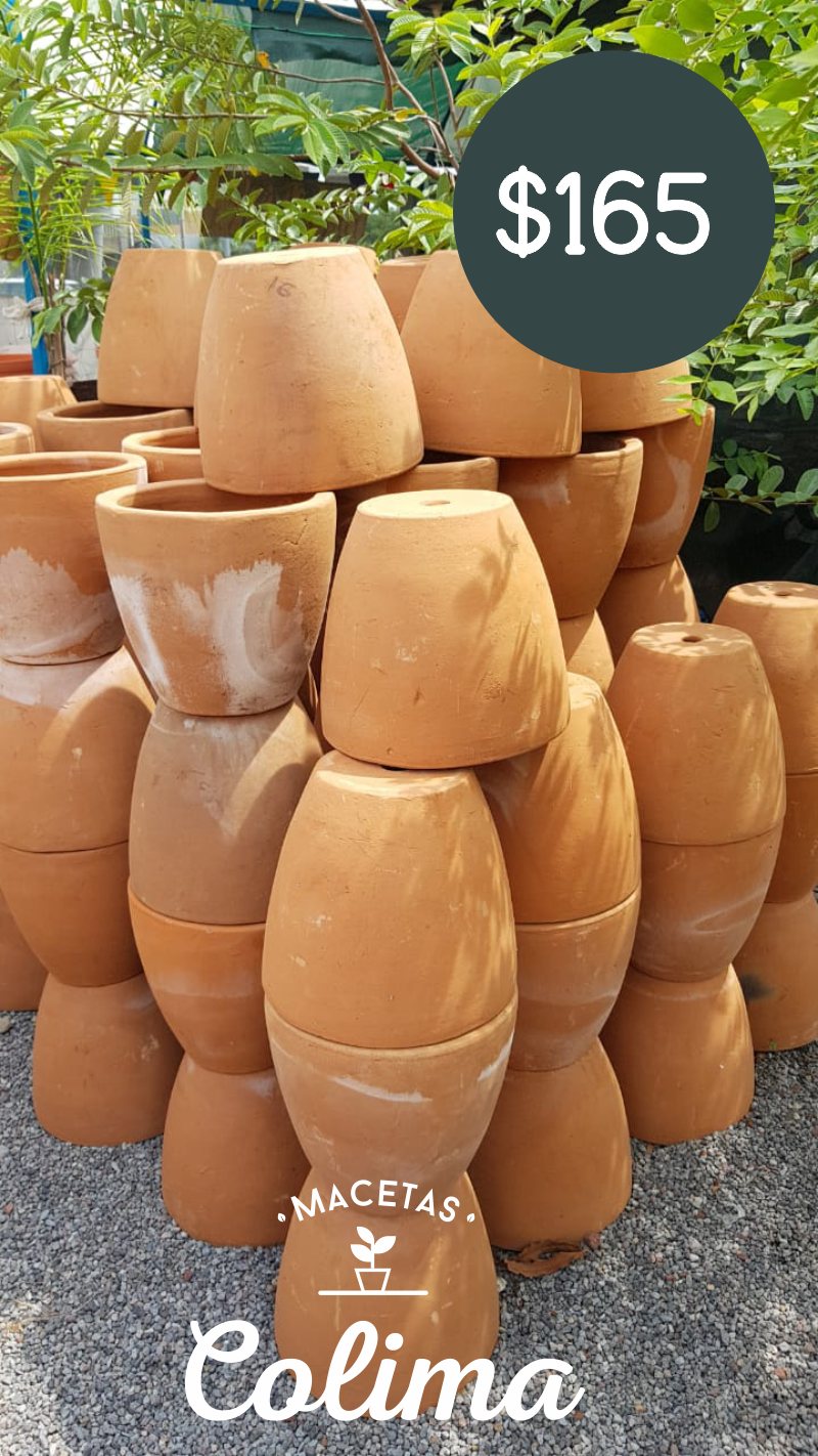 leetx-google-photo-86128-3 leetx-google-photo-86128-3