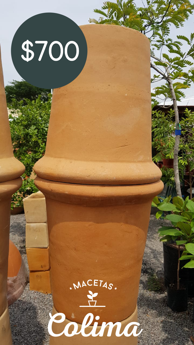 leetx-google-photo-86128-4 leetx-google-photo-86128-4