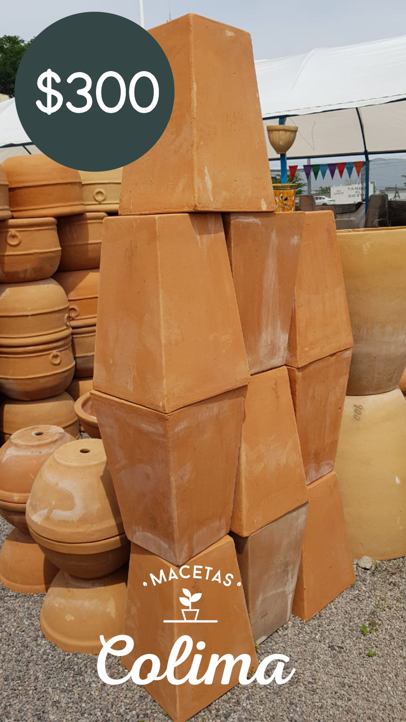 leetx-google-photo-86128-5 leetx-google-photo-86128-5