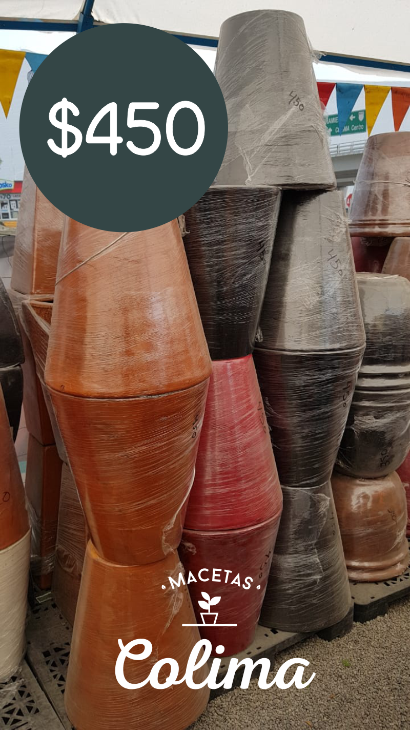 leetx-google-photo-86128-6 leetx-google-photo-86128-6