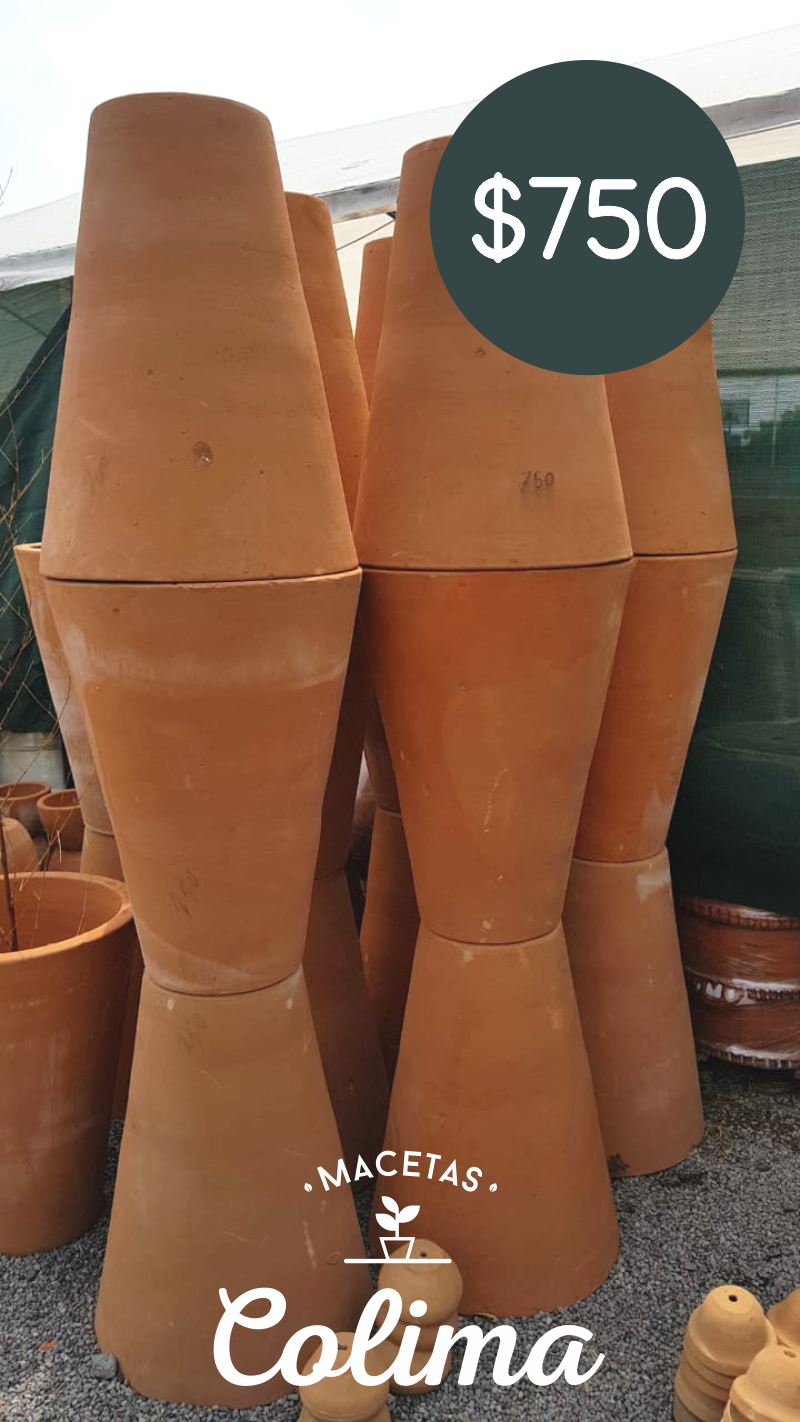 leetx-google-photo-86128-7 leetx-google-photo-86128-7