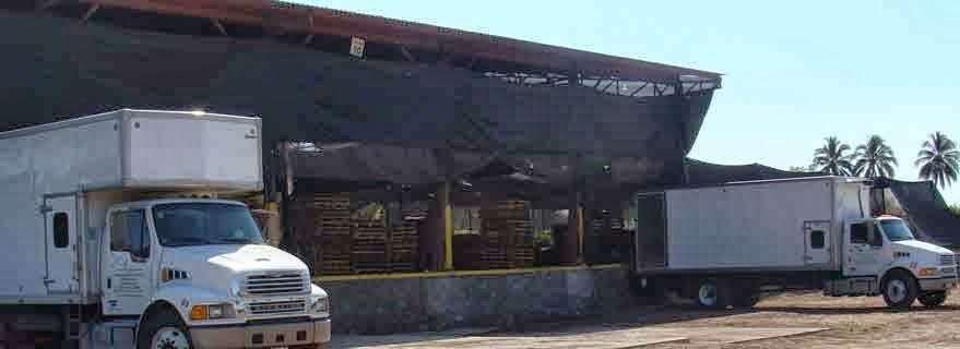 leetx-google-photo-86138-1