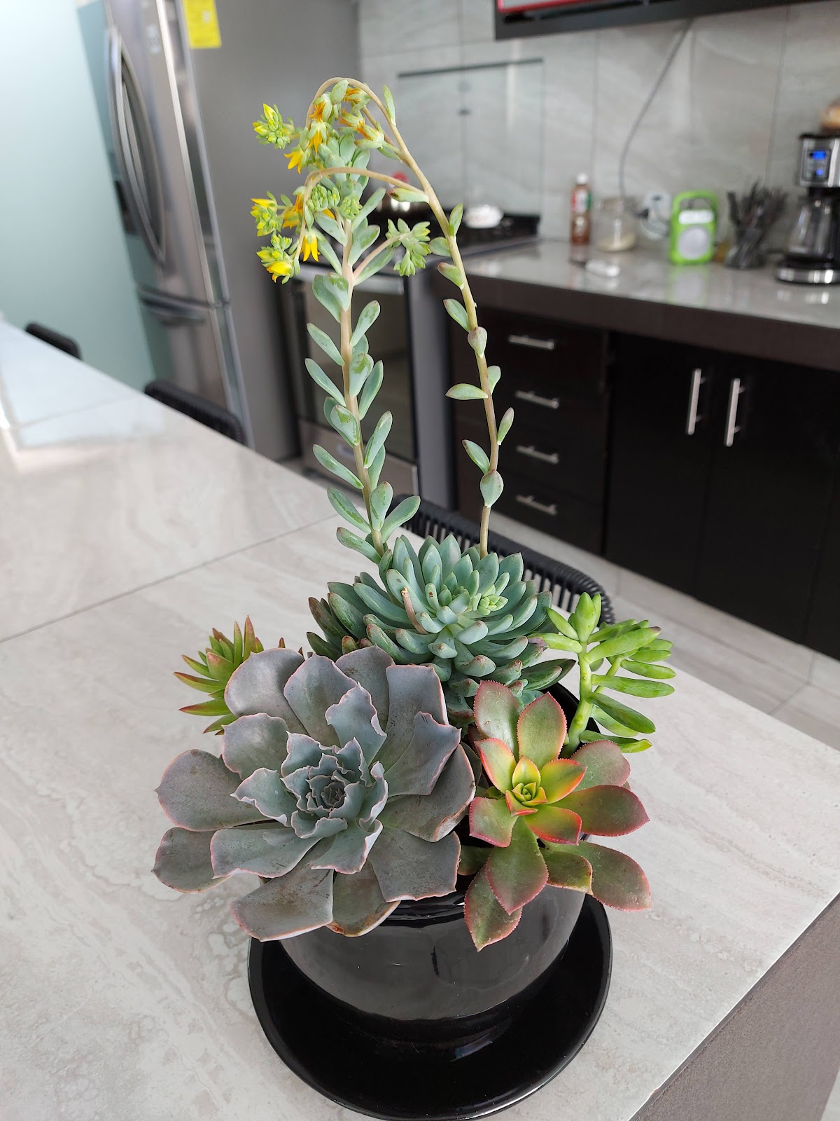 leetx-google-photo-86148-1