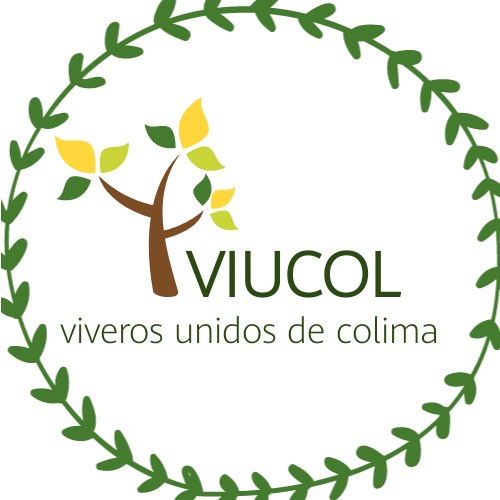 leetx-google-photo-86156-1