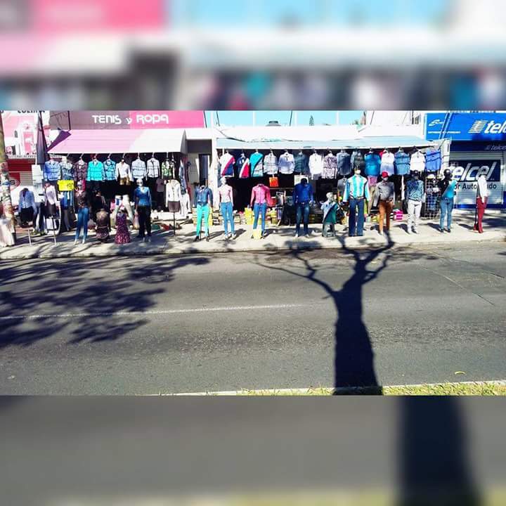 leetx-google-photo-86241-1