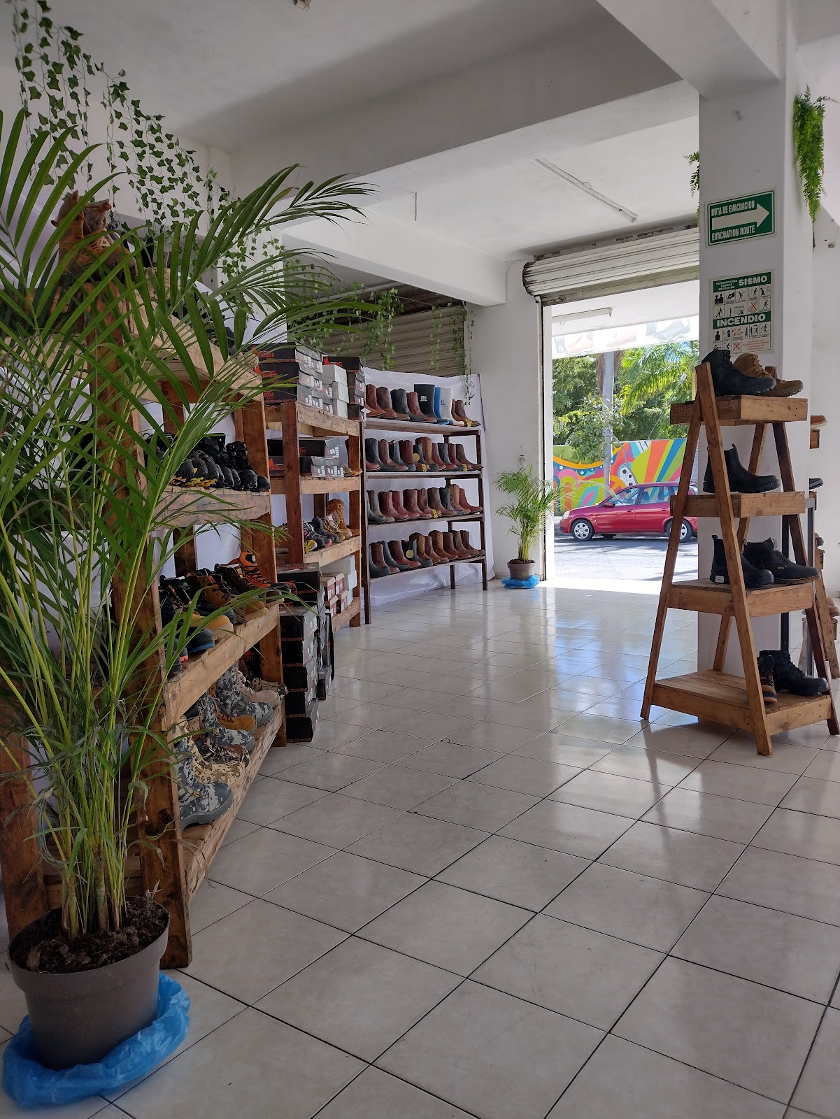 leetx-google-photo-86245-1-1