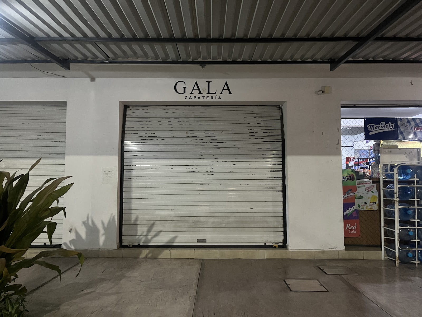 leetx-google-photo-86301-1