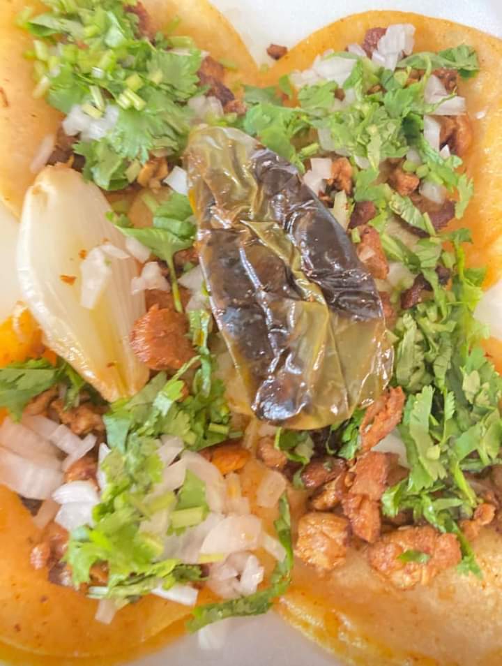 leetx-google-photo-86491-5 leetx-google-photo-86491-5