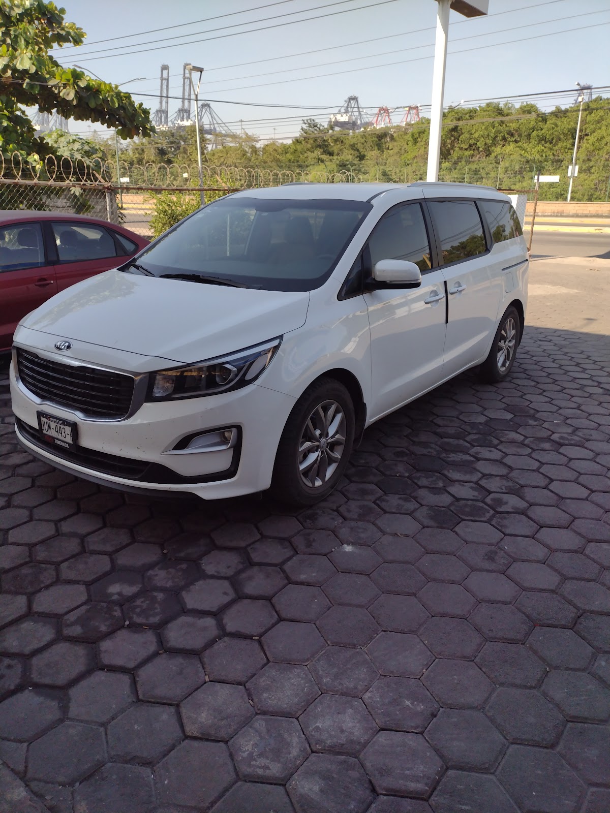 leetx-google-photo-86649-6 leetx-google-photo-86649-6