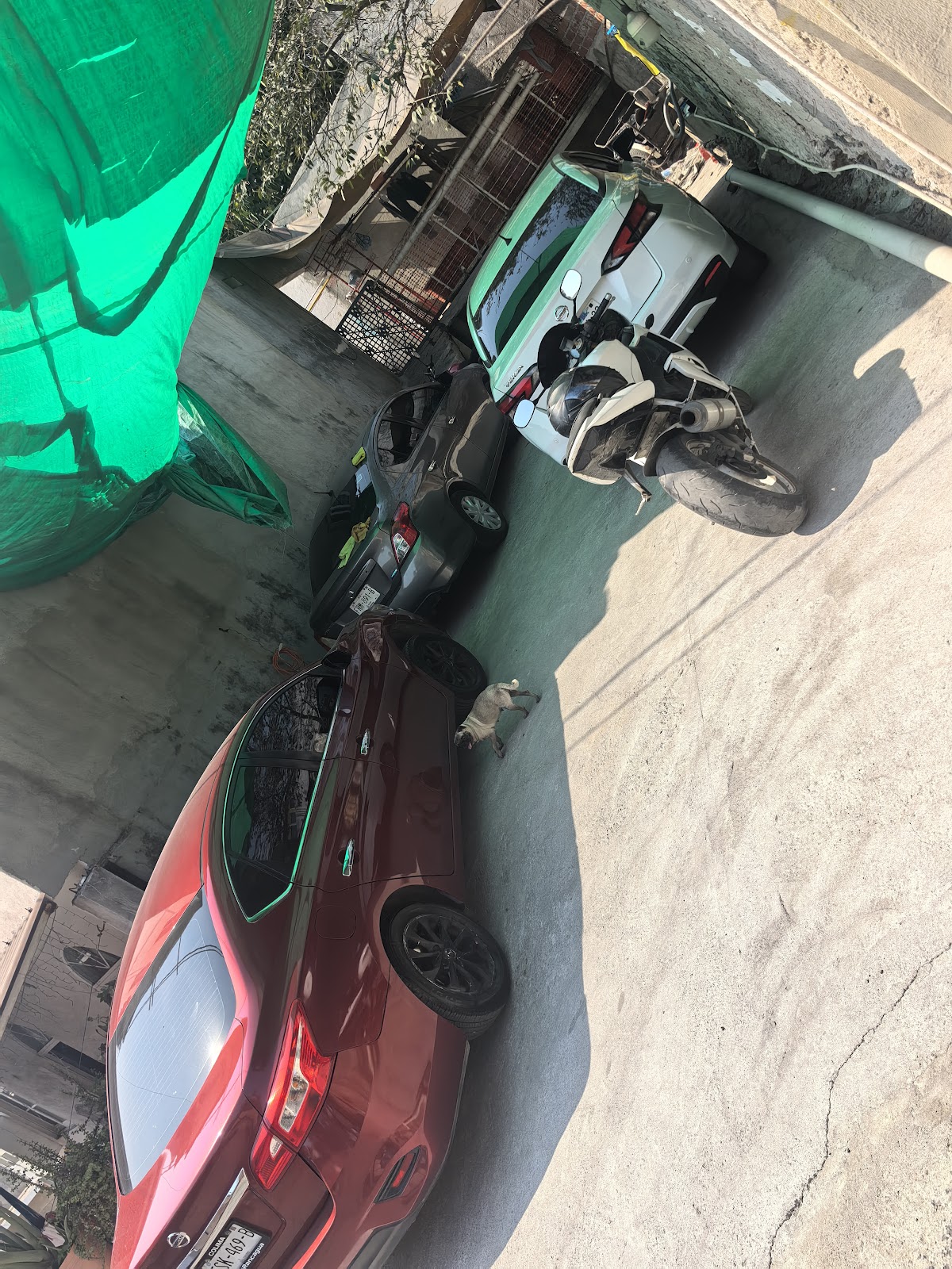 leetx-google-photo-86700-6 leetx-google-photo-86700-6